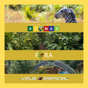 Biomas + Flora + Viaje Espacial | GRUPOS