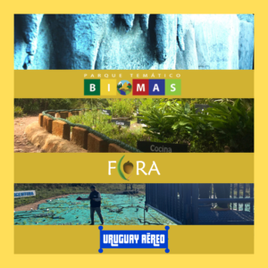 Biomas + Flora + Uruguay Aereo | GRUPOS
